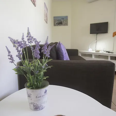 Apartamento Con Ascensor En Primera Línea