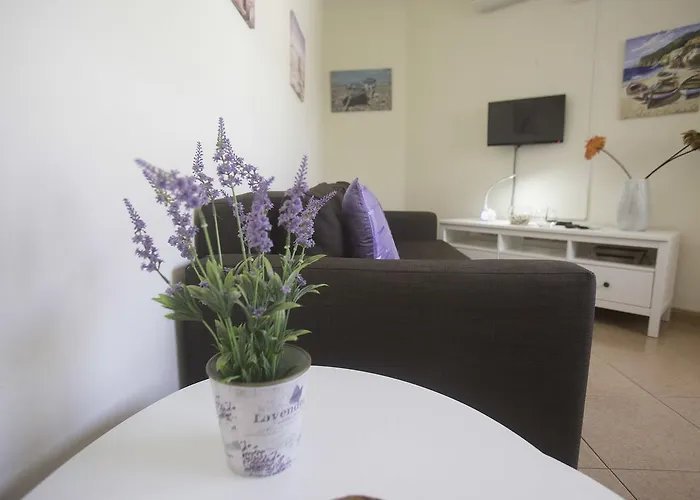 Appartement Con Ascensor En Primera Linea